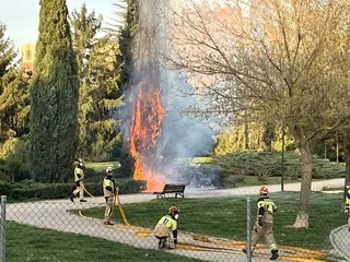 Incendio en un parque de Valladolid