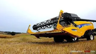 Una cosechadora en un campo de cereal de la provincia