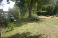 Ciudad Rodrigo insta a sus habitantes a limpiar sus solares e inmuebles de cara a la temporada estival