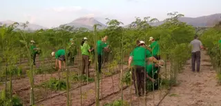 Jóvenes Agricultores. Foto de archivo