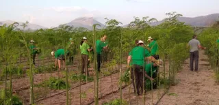 Jóvenes Agricultores. Foto de archivo