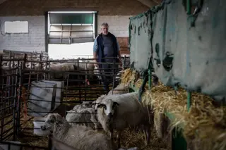 Un ganadero trabajando con sus ovejas. Foto EP