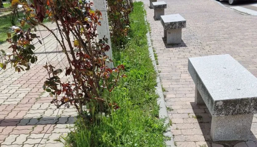 Fotografía facilita por el PP de Peñaranda sobre la situación del Parque de los Jardines