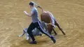 El encierro y la capea de Alba de Tormes se saldan con un herido - F.Juanes
