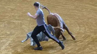 El encierro y la capea de Alba de Tormes se saldan con un herido - F.Juanes