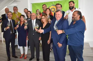 Consejos+reguladores+vino+(1)