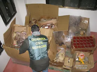 30 07 2018 INSPECCIÓN