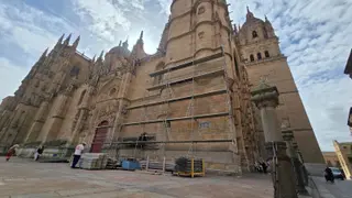 Arrancan las obras en la fachada norte de la Catedral de Salamanca