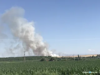 Incendio Alba1