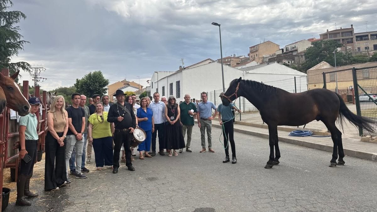 Xv Feria Ganadera De San Antonio De Alba De Tormes   Ayuntamiento De Alba De Tormes