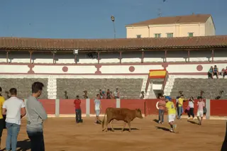 Fiestas de Guijuelo: Vaquilla del Aguardiente