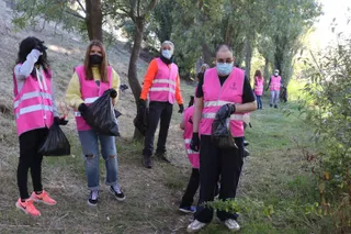 Voluntarido ambiental
