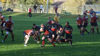 DSC01807