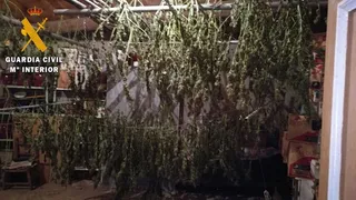 Detenido en Santiago de la Puebla un joven con 15 kilos de marihuana