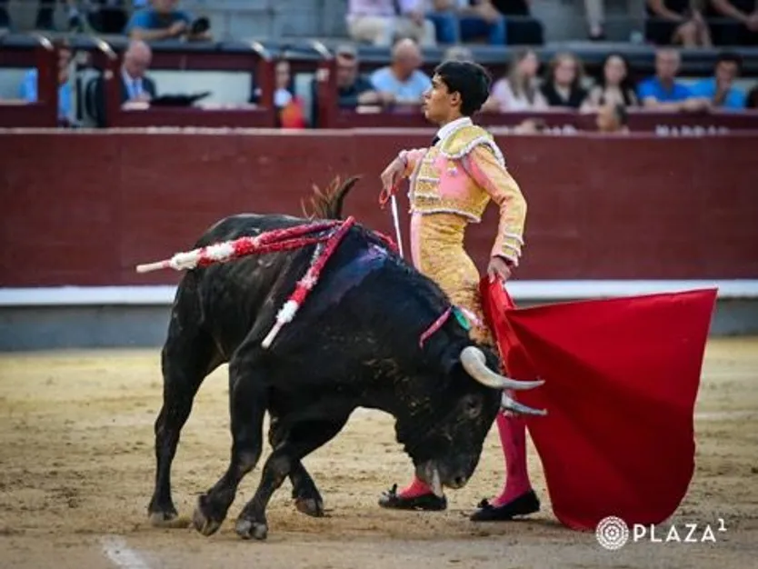 El novillero Tomás Bastos en Las Ventas