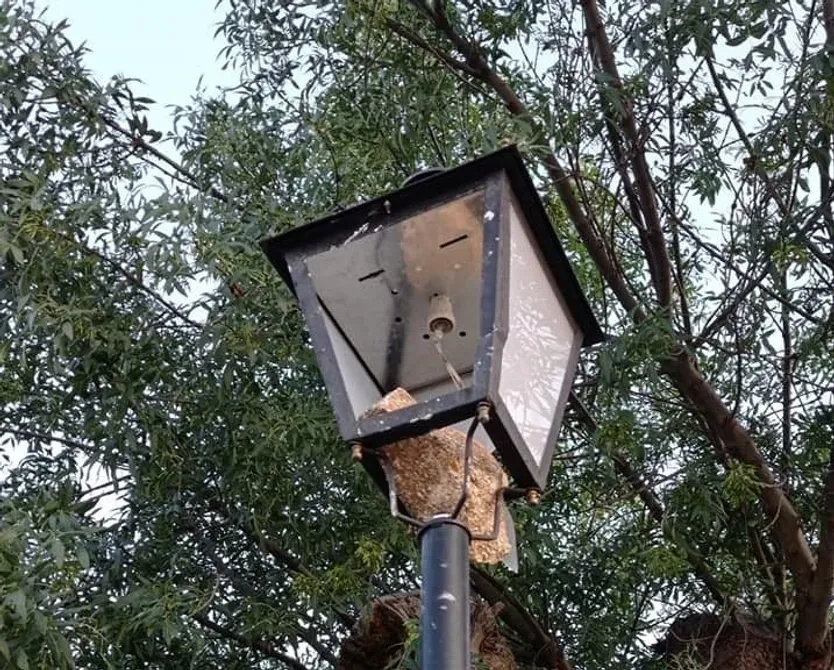 farolas destrozadas Puente del Congosto