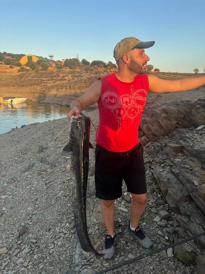 Tamaño Del Siluro En Comparación Con El Cuerpo Del Pescador Raúl