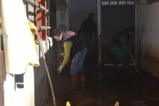 El matadero abre sus puertas con la incorporación de 10 trabajadores
