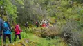 Una ruta senderista en una imagen de archivo 