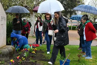 Ciudad Rodrigo Día Parkinson (15)