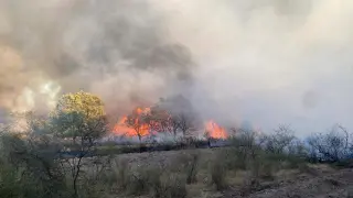 Incendio forestal en Rábano de Aliste. Zamora24horas