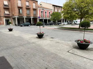 Nueva imagen de las jardineras colocadas en las plazas de España y la Constitución en Peñaranda