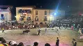 Aldeadávila se llena de ambiente festivo una jornada más con su capea nocturna