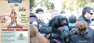 San Antón bendice este domingo a los animales bejaranos