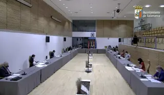 Los concejales del Consistorio aprueban solicitar que se garantice el Servicio de Correos en toda la provincia de Salamanca