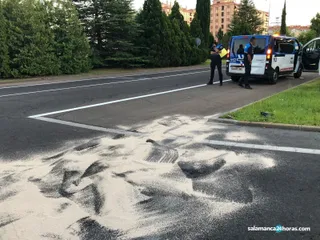 Avería de un turismo en el paseo San Agustín (3)
