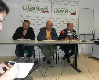 UPA-COAG advierte sobre la irrupción de jabalíes, a los que tilda de "plaga"