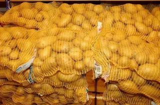 Patata