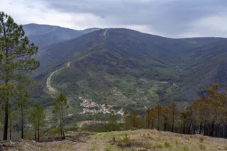 Bosque calcinado por el incendio forestal en Las Hurdes. Carlos Criado Europa Press