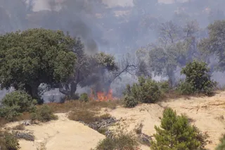 Imágenes del incendio originado en la zona del pinar de Alba de Tormes | Juanes