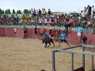 Fiestas San Roque Carbajosa sábado 18 (18) 1200x900