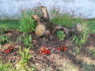 El ‘Jardín de las cuatro estaciones’ 1