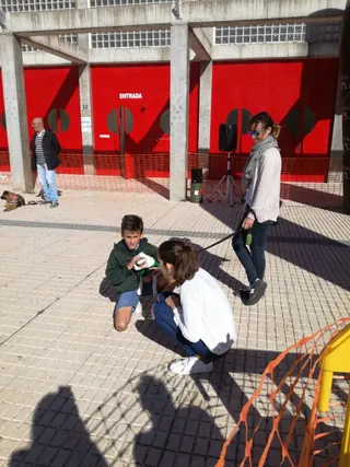 Curso Canino en Villares