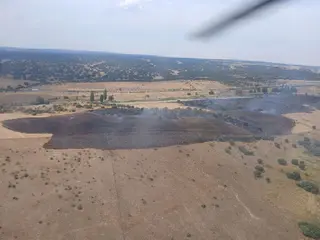Incendio forestal en Buenavista. Foto @naturalezacyl
