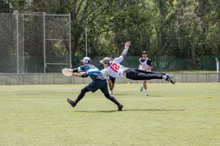 Quimera Ultimate Frisbee, equipo de Salamanca