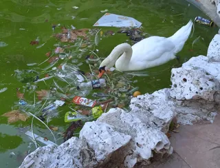 Suciedad y basura en el estanque de La Alamedilla