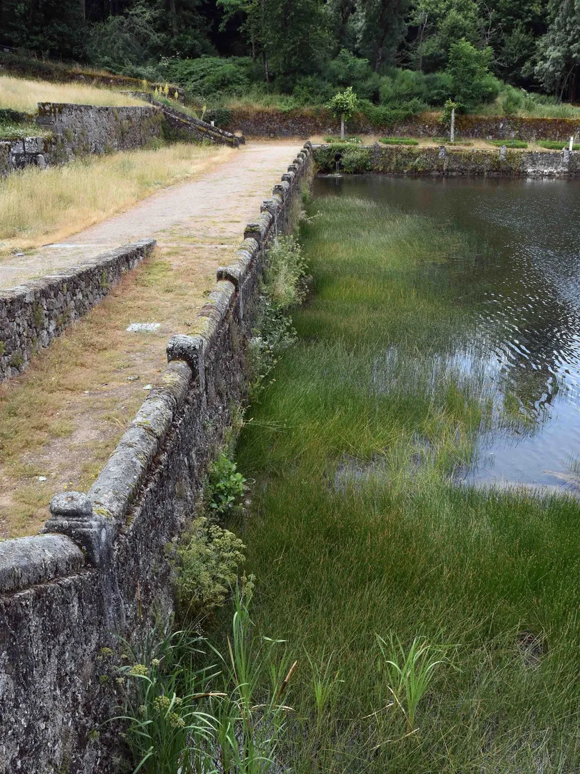 El ángulo noreste del estanque colmatado de sedimentos que hace años que no se vacían en el Bosque de Béjar
