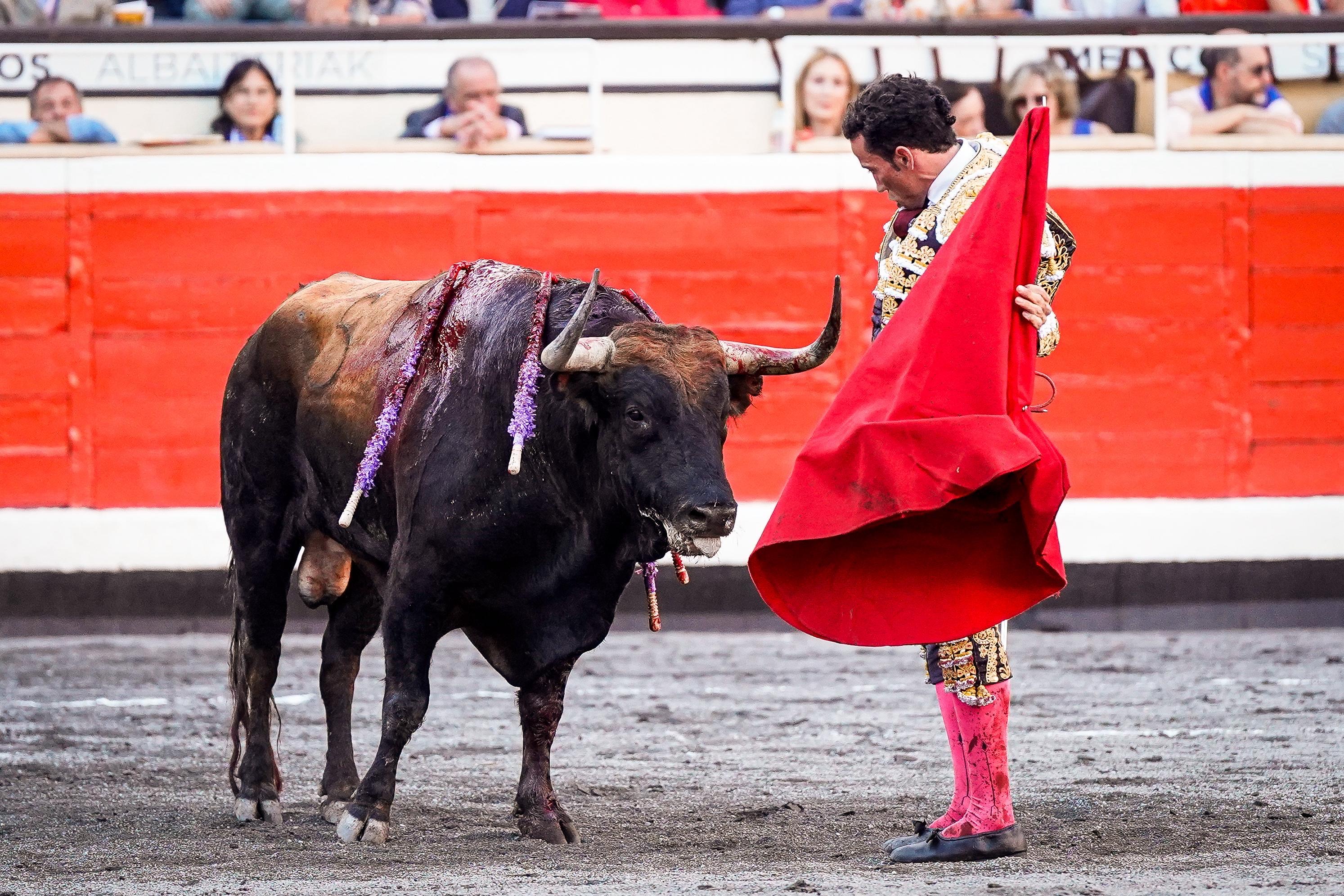 David de Miranda con el toro de Domingo Hern&aacute;ndez en Bilbao con el que consigui&oacute; el premio 'Iv&aacute;n Fandi&ntilde;o a la verdad del toreo' | Vanesa Santos