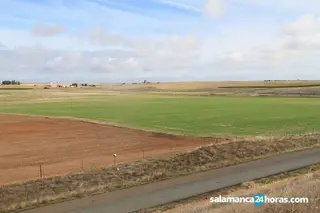 Campo septiembre (4)