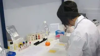 contratos predoctorales