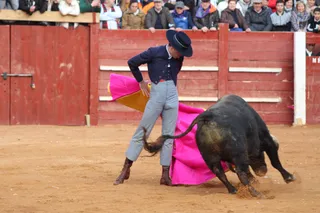 Chaves, El Capea y Pérez Pinto abren la Puerta Grande en el primer festival del Carnaval de Ciudad Rodrigo de 2023 | Salamanca24horas.com
