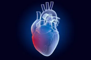 Corazón | Europa press