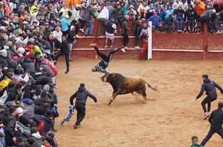 Cogida en la capea del lunes Carnaval del Toro. Foto: Juanes