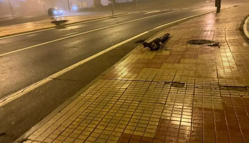 Restos del árbol golpeado por el vehículo en el paseo del Progreso. Foto SALAMANCA24HORAS.