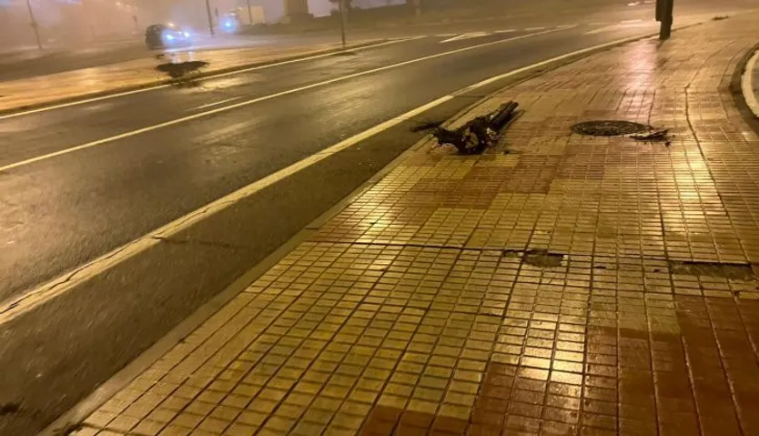 Restos del árbol golpeado por el vehículo en el paseo del Progreso. Foto SALAMANCA24HORAS.