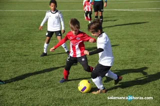 El Salamanca CF UDS podrá inscribir a sus prebenjamines